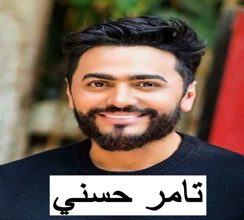 تامر حسني