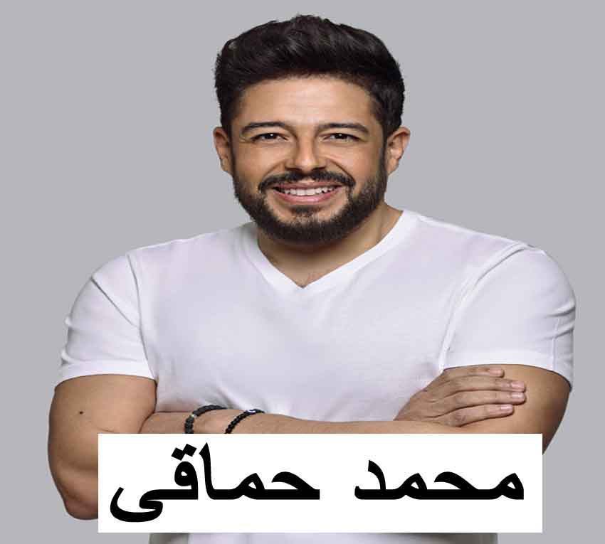 محمد حماقى