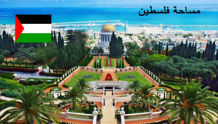 مساحة فلسطين