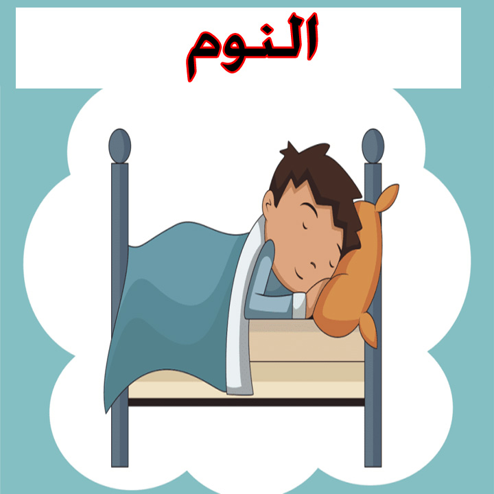 النوم